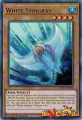CYHO-EN096 - White Stingray - Rare - 1st Edition